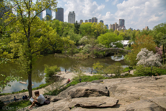 Central park, The Pond, New York City