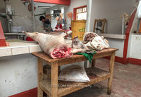 Meat counter in municipal market, Andes