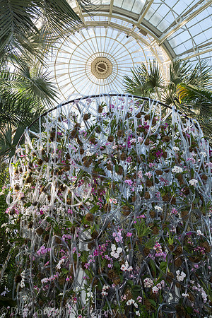 Daniel Ost orchid installation, Orchid Show, New York Botanical Garden, April 2018