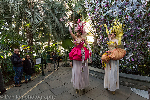 Orchid Dancers in front of the Daniel Ost orchid installation, Orchid Show, New York Botanical Garden, April 2018