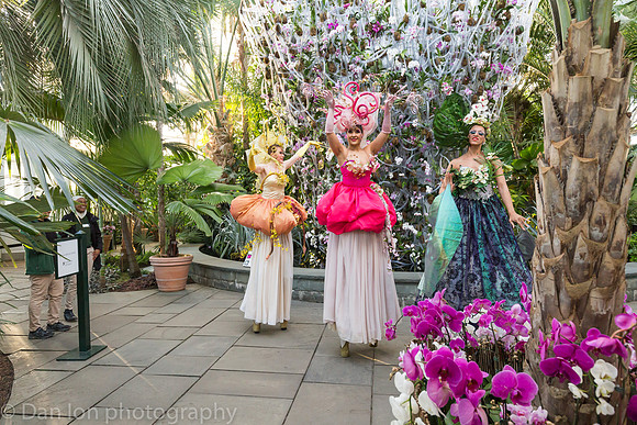Orchid Dancers in front of the Daniel Ost orchid installation, Orchid Show, New York Botanical Garden, April 2018