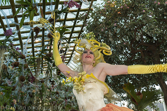 New York Botanical Garden, Orchid show, April 2018