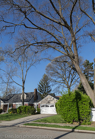 Suburban street and home below the YNCH nesting colony.