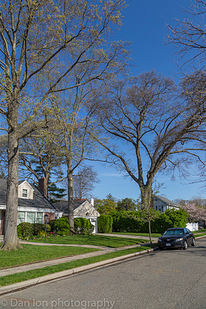 Suburban street and home below the YNCH nesting colony.