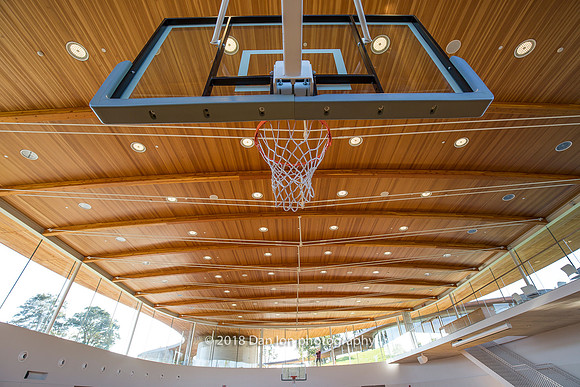 Grace Farms, the Court and the beautiful ceiling