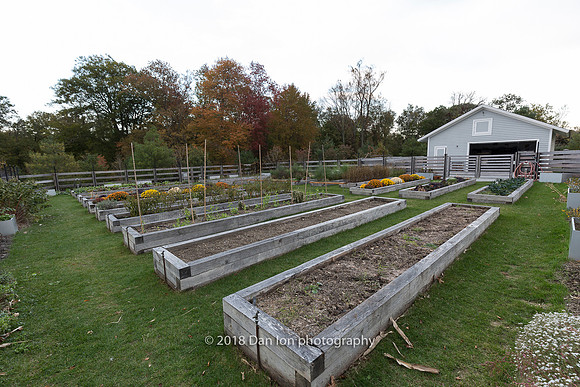 Grace Farms, community garden