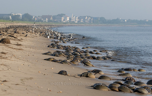 The beach at low tide