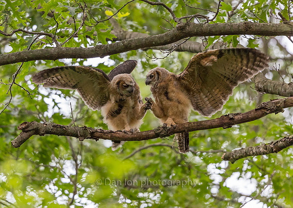Not a fight. Just friendly grabbing and touching