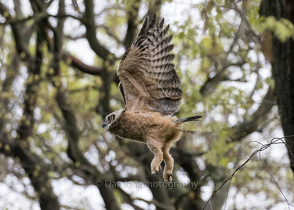 Not his best flying pose