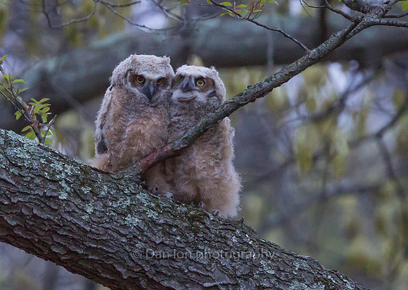 Always time for a hug and kiss