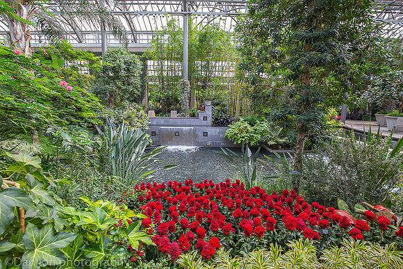 Longwood Gardens, conservatory