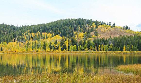 September foliage by Jackson Lake, Grand Teton National Park