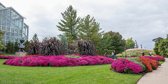 Frederik Meijer Gardens & Sculpture Park, Chrysanthemums and more exhibit