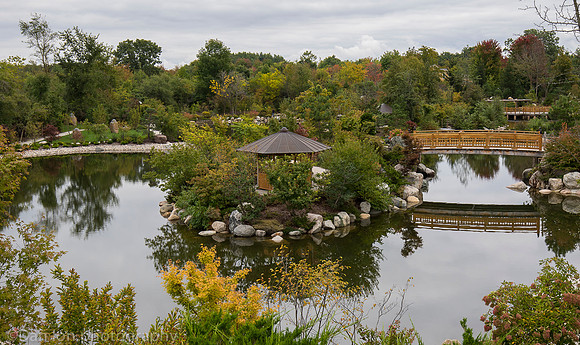 Frederik Meijer Gardens & Sculpture Park, Japanese garden