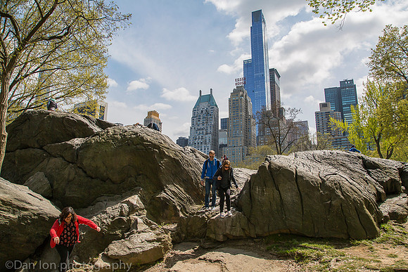 Central park and skyline, New York City