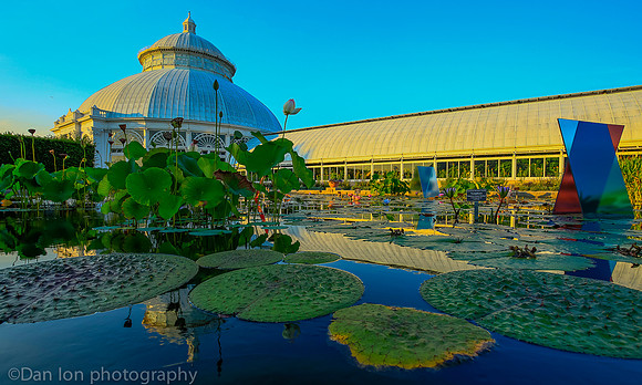 NYBG 'Dale Chihuly', Koda Study #3, Haupt Conservatory