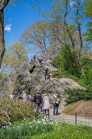 Central park rock climbing, New York City