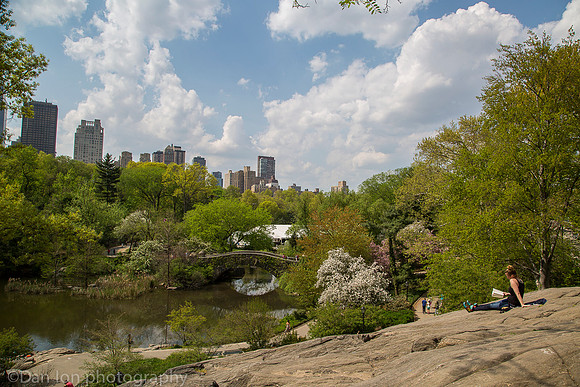Central park, The Pond, New York City