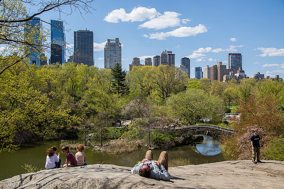 Central park, The Pond, New York City