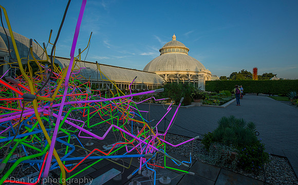NYBG 'Dale Chihuly', Neon, Haupt Conservatory