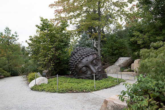 Frederik Meijer Gardens & Sculpture Park, Long Island Buddha, Zhang Huan