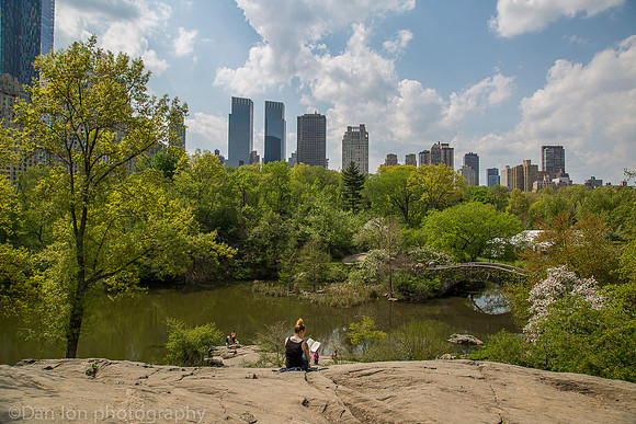 Central park, The Pond, New York City