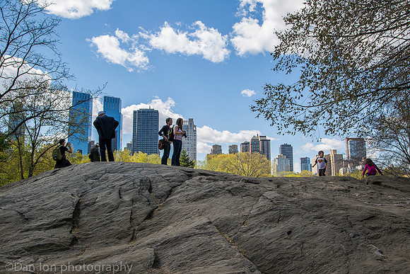 Central park and skyline, New York City