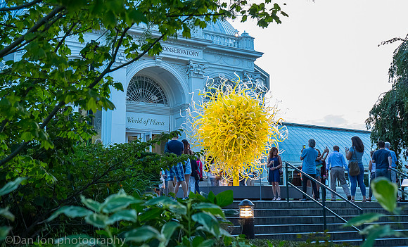 NYBG 'Dale Chihuly nights', Sol del Citron' Haupt Conservatory