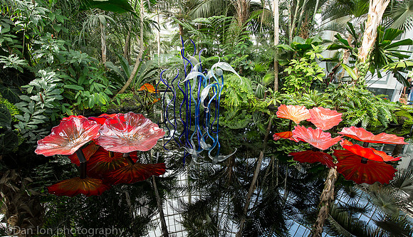 NYBG 'Dale Chihuly', Blue Herons and Persians, Haupt Conservatory