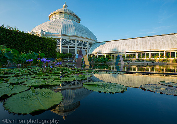 NYBG 'Dale Chihuly', Koda Study #3, Haupt Conservatory