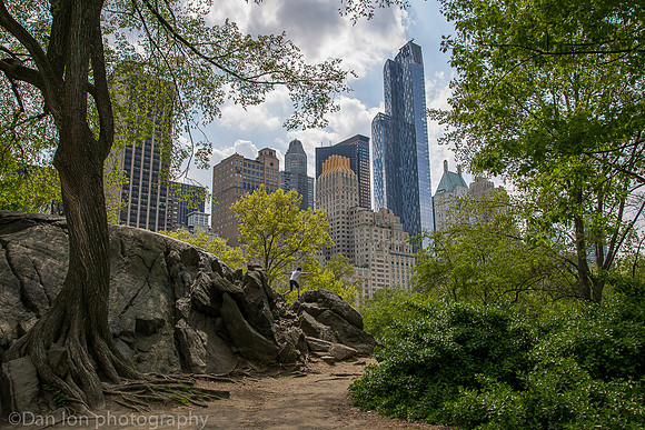 Central park and skyline, New York City