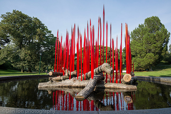 NYBG 'Dale Chihuly', Red Reeds on Logs