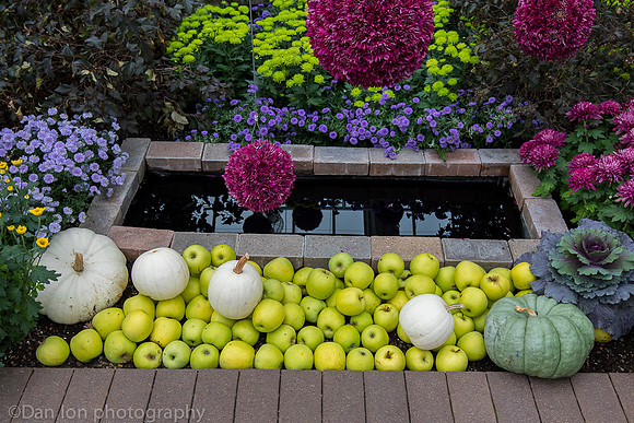 Frederik Meijer Gardens & Sculpture Park, Chrysanthemums and more exhibit