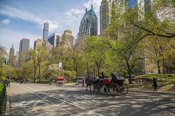 Central park, horse and carriage ride, New York City