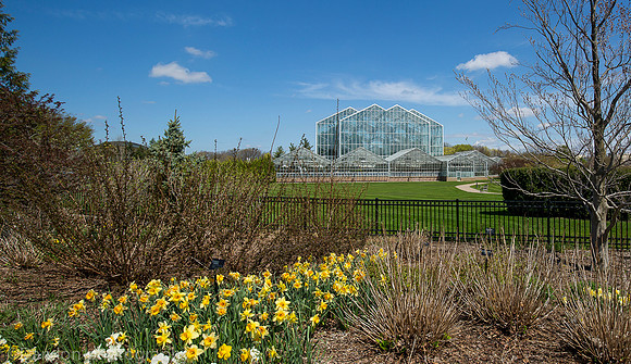 Frederik Meijer Gardens & Sculpture Park, Lena Meijer Tropical Conservatory