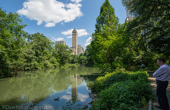 Central park, The Pond, New York City