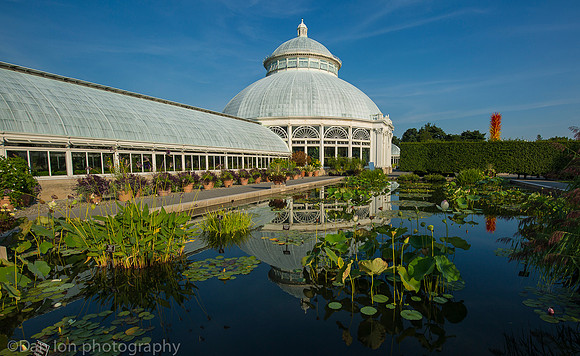 NYBG 'Dale Chihuly', Haupt Conservatory