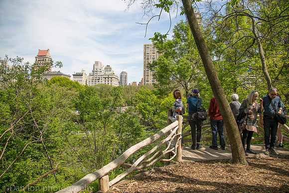 Central Park, view from Hallett Nature Sanctuary, New York City