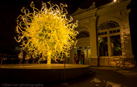 NYBG Dale Chihuly nights