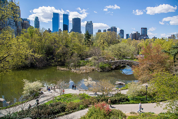 Central park, The Pond, New York City