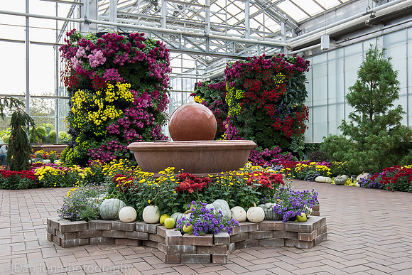 Frederik Meijer Gardens & Sculpture Park, Chrysanthemums and more exhibit