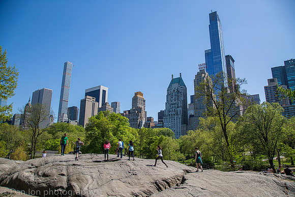 Central park and skyline, New York City