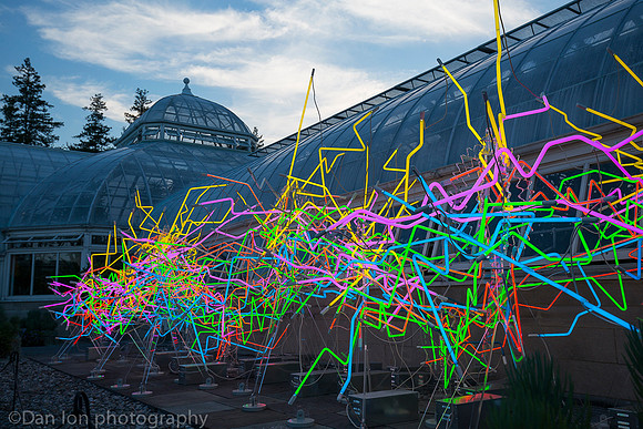 NYBG 'Dale Chihuly nights', Neon